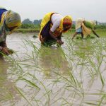 Maharashtra Delays Farm Loan Waiver Implementation, Disbursement to Start on July 5