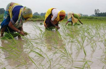 Maharashtra Delays Farm Loan Waiver Implementation, Disbursement to Start on July 5