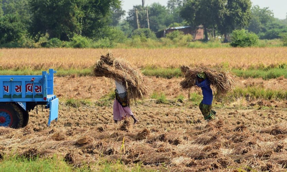 Maharashtra Unveils Comprehensive Loan Waiver Scheme for Farmers