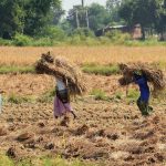 Maharashtra Unveils Comprehensive Loan Waiver Scheme for Farmers