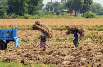 Maharashtra Unveils Comprehensive Loan Waiver Scheme for Farmers