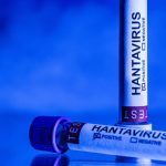 Misinformation and Distrust: Key Factors in Global Disease Outbreaks of 2026