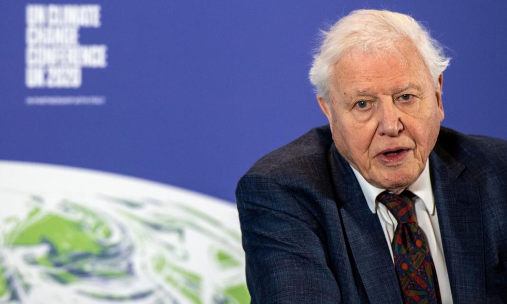 Reflecting on David Attenborough's Impact on Environmental Awareness Amidst Spectator Environmentalism