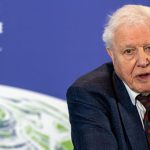 Reflecting on David Attenborough's Impact on Environmental Awareness Amidst Spectator Environmentalism