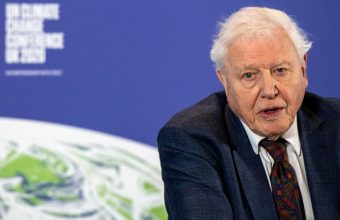 Reflecting on David Attenborough's Impact on Environmental Awareness Amidst Spectator Environmentalism