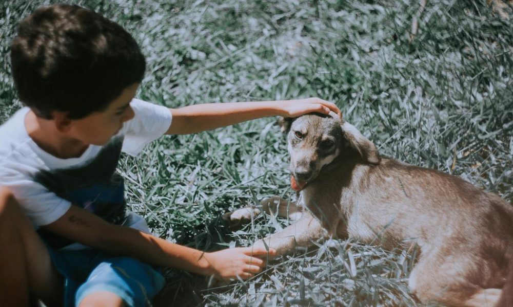 The Heartwarming Tale of Kindness: How a Little Girl's Compassion Shone Amidst a Storm