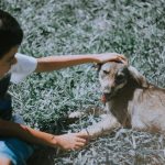 The Heartwarming Tale of Kindness: How a Little Girl's Compassion Shone Amidst a Storm