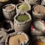 West Bengal Government to Exclude Ineligible Voters from Ration Scheme