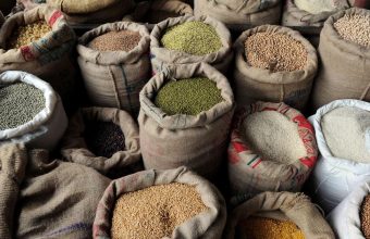 West Bengal Government to Exclude Ineligible Voters from Ration Scheme