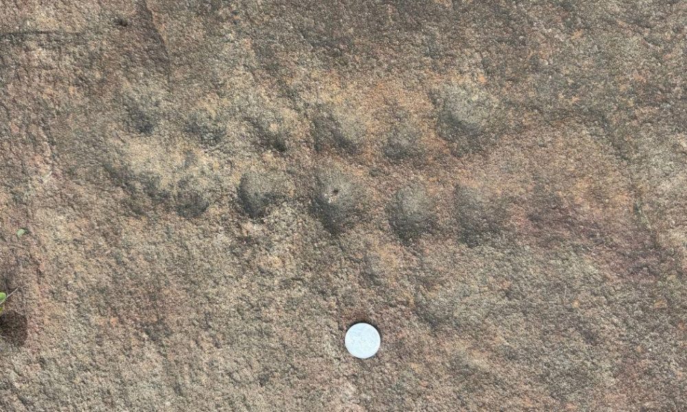 Ancient Rock Markings in Delhi Offer Insights into Pre-Ashokan History