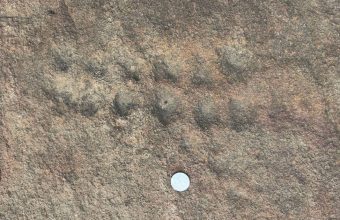 Ancient Rock Markings in Delhi Offer Insights into Pre-Ashokan History