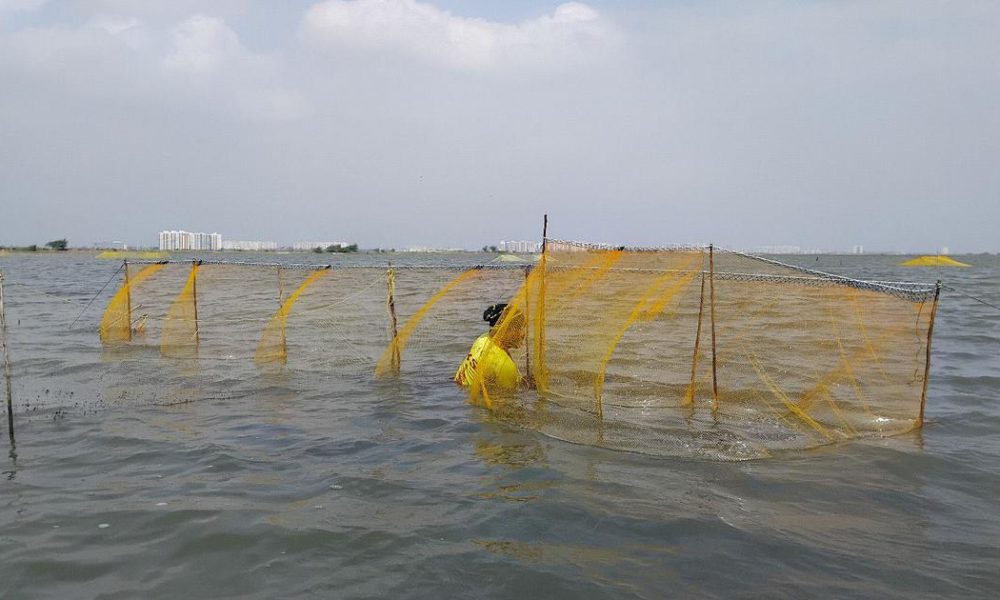 Chennai's Great Salt Lake Faces Threat as Plans for New Water Reservoir Emerge