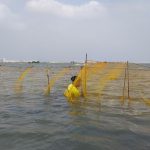 Chennai's Great Salt Lake Faces Threat as Plans for New Water Reservoir Emerge