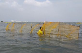 Chennai's Great Salt Lake Faces Threat as Plans for New Water Reservoir Emerge