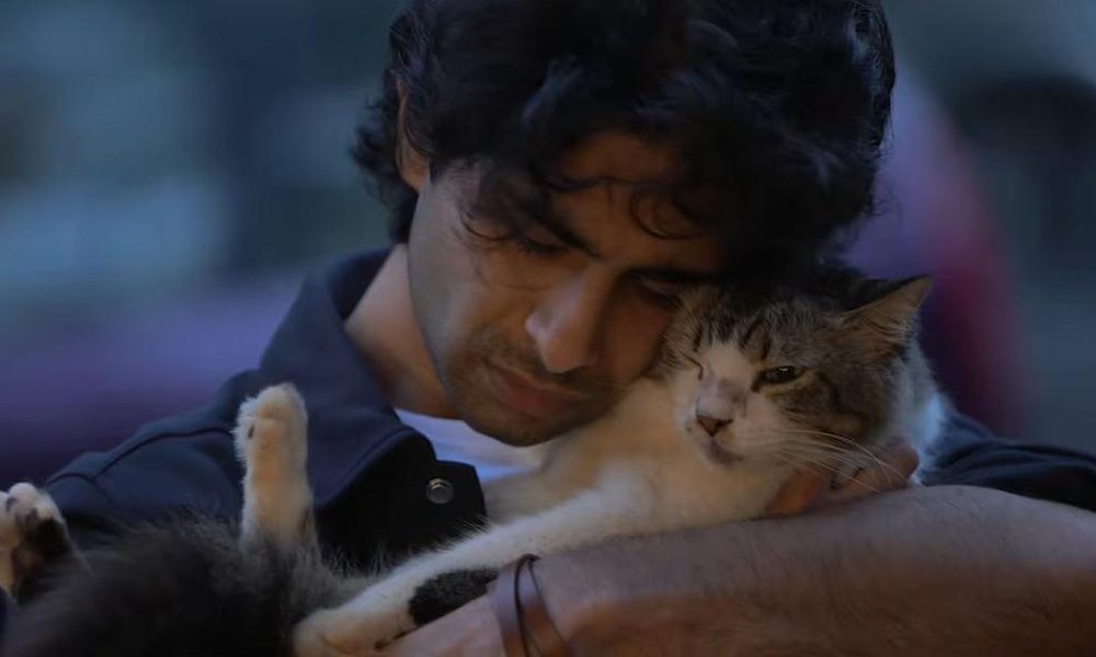 Exploring Life’s Struggles in 'Max, Min & Meowzaki': A Tale of Family and Healing
