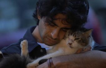 Exploring Life’s Struggles in 'Max, Min & Meowzaki': A Tale of Family and Healing
