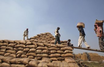 Government Confirms Food Corporation Sold Rice to Ethanol Plants Below Acquisition Cost