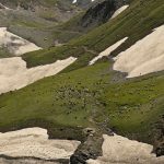 Himalayan Glaciers: Climate Change Threatens Water Quality in Indus River Basin