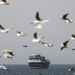 India Suspends Deployment of Seafarers in Strait of Hormuz Amid Rising Tensions
