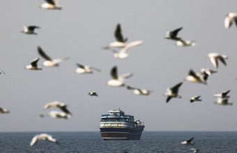 India Suspends Deployment of Seafarers in Strait of Hormuz Amid Rising Tensions