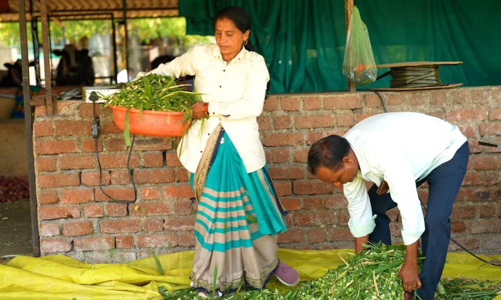 Indians Leading the Charge in Ecosystem Restoration: A Deep Dive into Grassroots Conservation Efforts