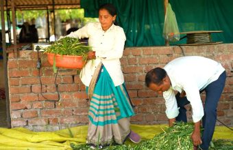 Indians Leading the Charge in Ecosystem Restoration: A Deep Dive into Grassroots Conservation Efforts