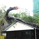 Mumbai Schools and Colleges Shut Down as Heavy Rainfall Warning Issued