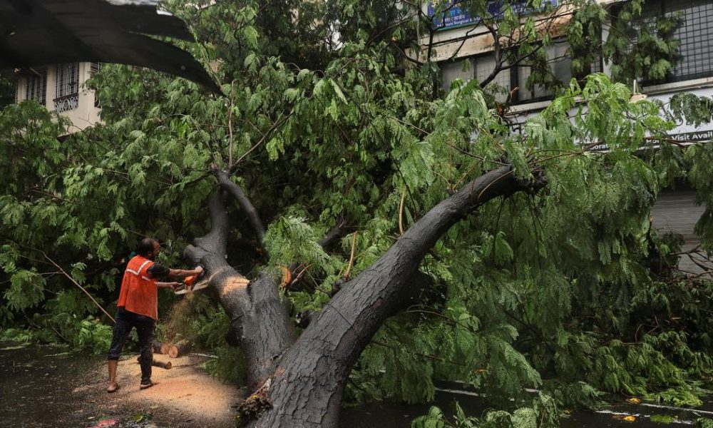 Mumbai's Rising Tree Collapse Incidents Raise Safety Concerns Amid Heavy Rains