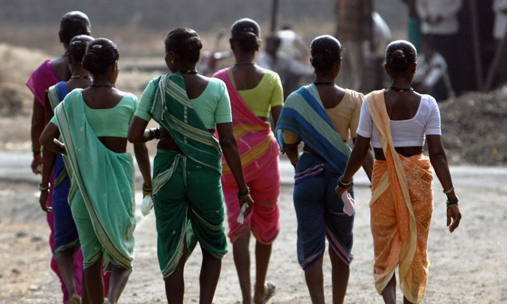 New Book Explores the Resilience of Adivasi Cultures in India's Socio-Political Landscape