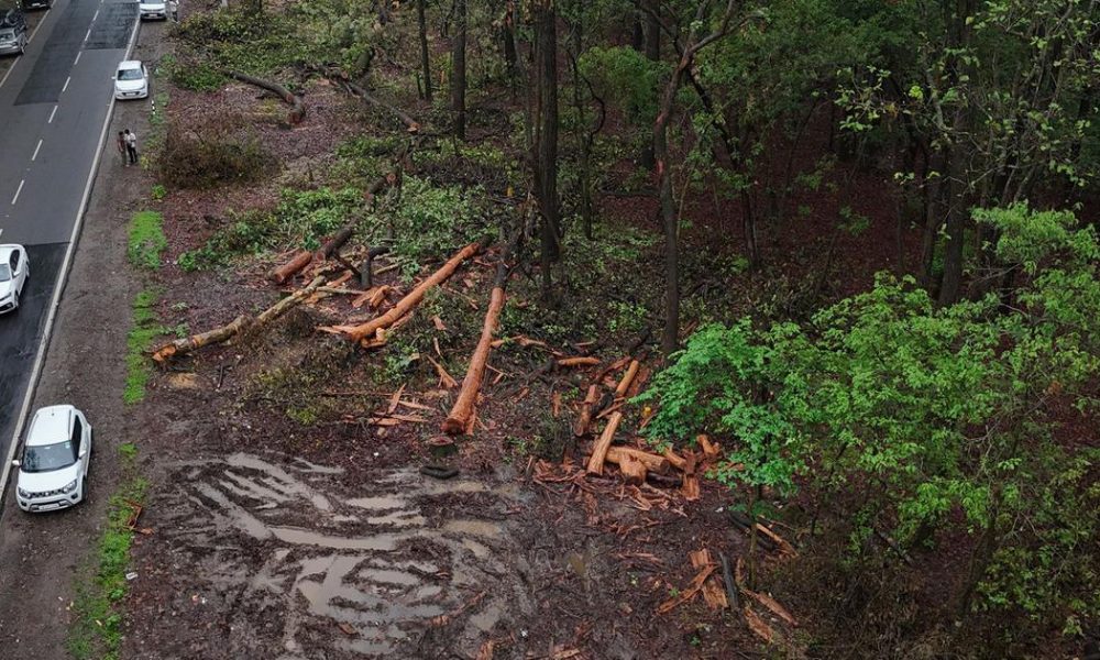 Protests Erupt Over Tree Felling for Dehradun Highway Expansion Project