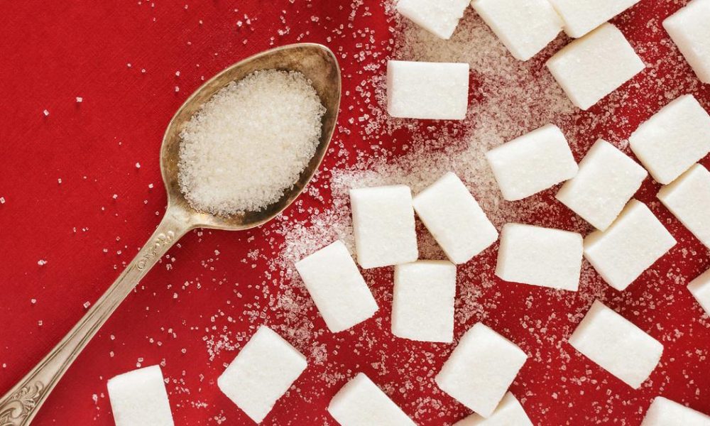 Study on Mice Raises Concerns About Strict Zero-Sugar Diets