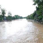 Tragic Rise in Assam Flood Casualties: Death Toll Reaches 41 Amid Widespread Devastation