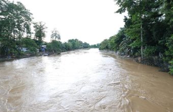 Tragic Rise in Assam Flood Casualties: Death Toll Reaches 41 Amid Widespread Devastation