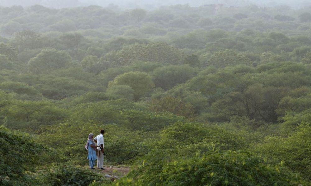 CAG Reports Alarming 98% Shortfall in Green India Mission's Forest Cover Goals