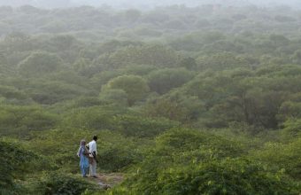 CAG Reports Alarming 98% Shortfall in Green India Mission's Forest Cover Goals