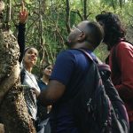 Can Social Media Drive Effective Climate Action in India?