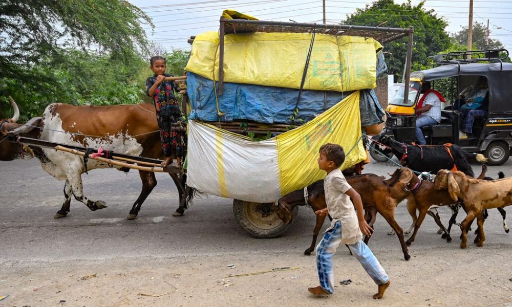 Census 2027: The Urgent Need for Separate Enumeration of Nomadic and Denotified Tribes