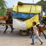 Census 2027: The Urgent Need for Separate Enumeration of Nomadic and Denotified Tribes