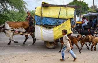 Census 2027: The Urgent Need for Separate Enumeration of Nomadic and Denotified Tribes