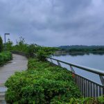 Gomti Riverfront: A Showcase of Urban Development or Ecological Compromise?
