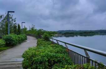 Gomti Riverfront: A Showcase of Urban Development or Ecological Compromise?