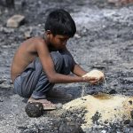 India Denounces UN Committee's Allegations of Targeting Rohingya and Bengali Muslims