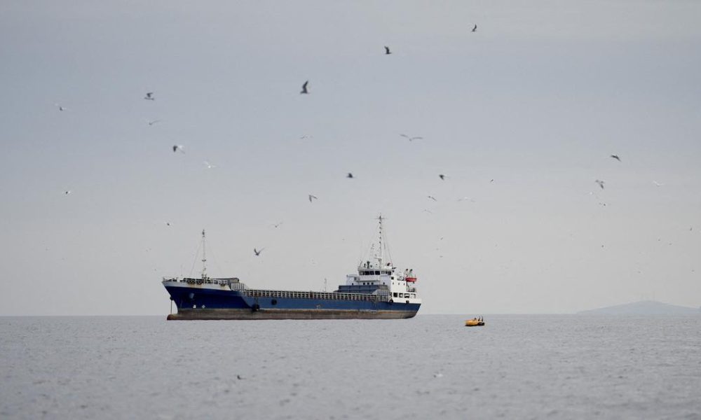 Indian Commercial Ship Attacked in Red Sea, All Crew Rescued