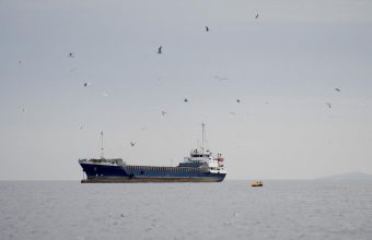 Indian Commercial Ship Attacked in Red Sea, All Crew Rescued
