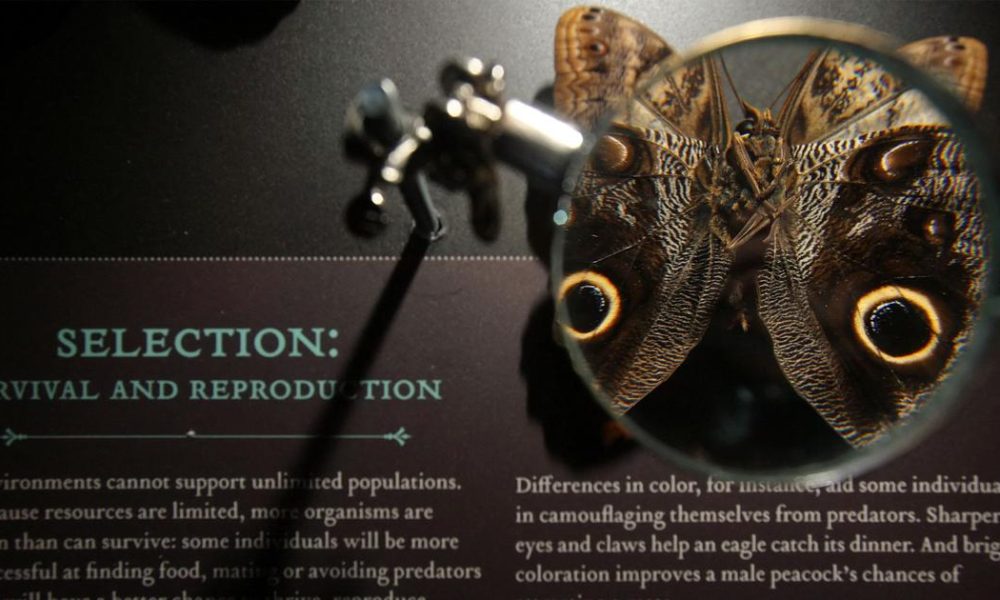 Lamarckism: The Resurgence of an Old Evolutionary Theory in Modern Science