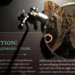 Lamarckism: The Resurgence of an Old Evolutionary Theory in Modern Science