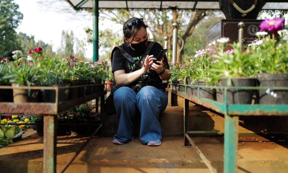 Online Sale of Ornamental Plants Raises Concerns Over Invasive Species in India