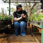Online Sale of Ornamental Plants Raises Concerns Over Invasive Species in India
