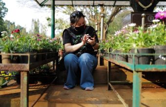 Online Sale of Ornamental Plants Raises Concerns Over Invasive Species in India