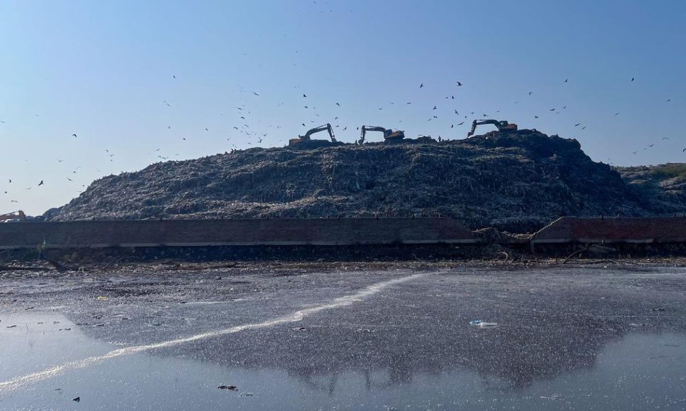 Pollution Plagues Kashmir's Anchar Lake: Communities Struggle Amidst Waste Crisis